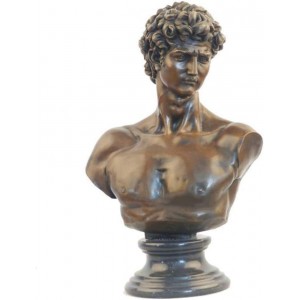 ADSE Statue de Buste de David Art Michel-Ange Bronze David oeuvre Buste décoration Vintage Jardin Maison Artisanat Sculpture - BD5JEYZFI