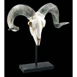 Figuren Shop GmbH Bélier gothique tête de mort sur support en métal | Tête de mort fantaisie Figurine animalière Article de décoration Sculpture statue H 46 cm - B8E7EGFBI