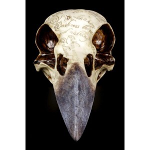 Figuren Shop GmbH Edgar's Corbeau Crâne Nevermore | Tête de Mort Corbeau Fantastique Gothique - B8KW2OFJB